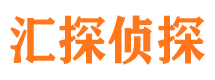 桑日寻人公司